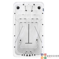 Passion Spas Swimspa Fitness 1