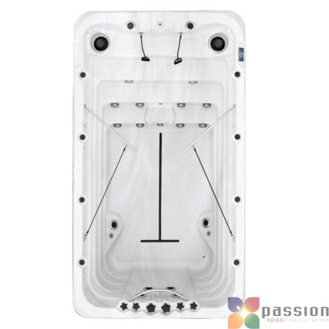 Passion Spas Swimspa Fitness 1
