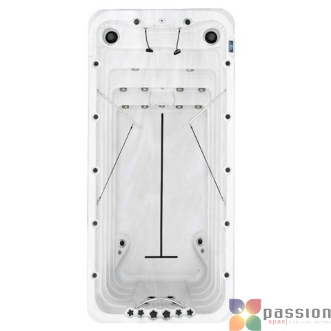 Passion Spas Swimspa Fitness 2 Passion Spas Swimspa Fitness 2